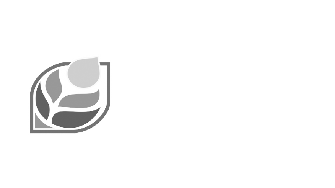 TERMINEL
